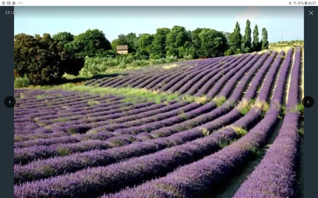 Villa La Bonbonne En Provence Travaillan Esterno foto