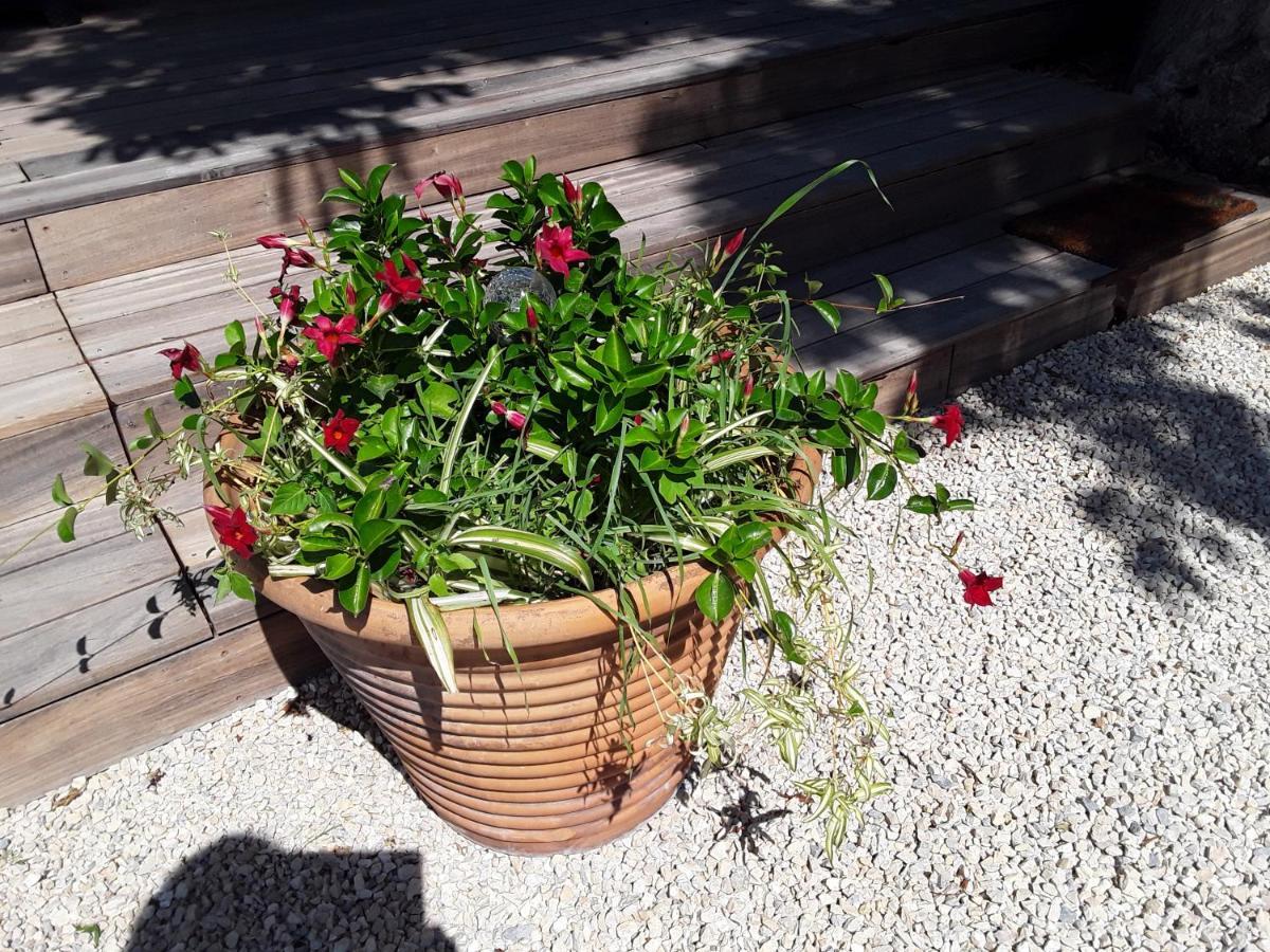 Villa La Bonbonne En Provence Travaillan Esterno foto